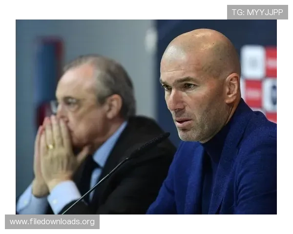 用户如何评价凯发登录手机的使用感受与功能